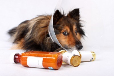 La aspirina y tus mascotas