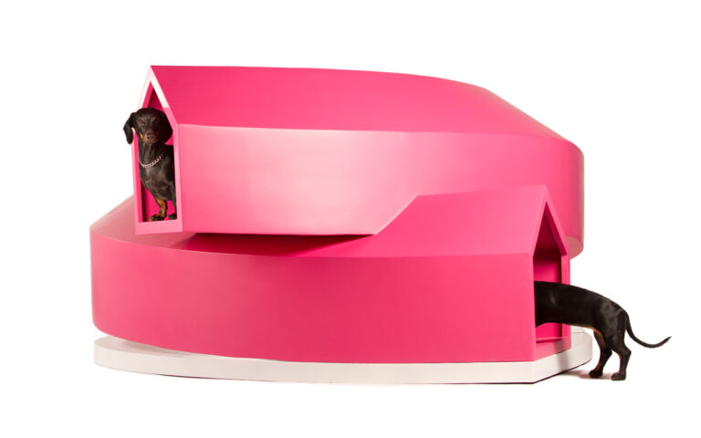Las 11 casas exhibidas en Dogchitecture 2013