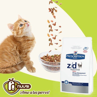 Alimento para gatos